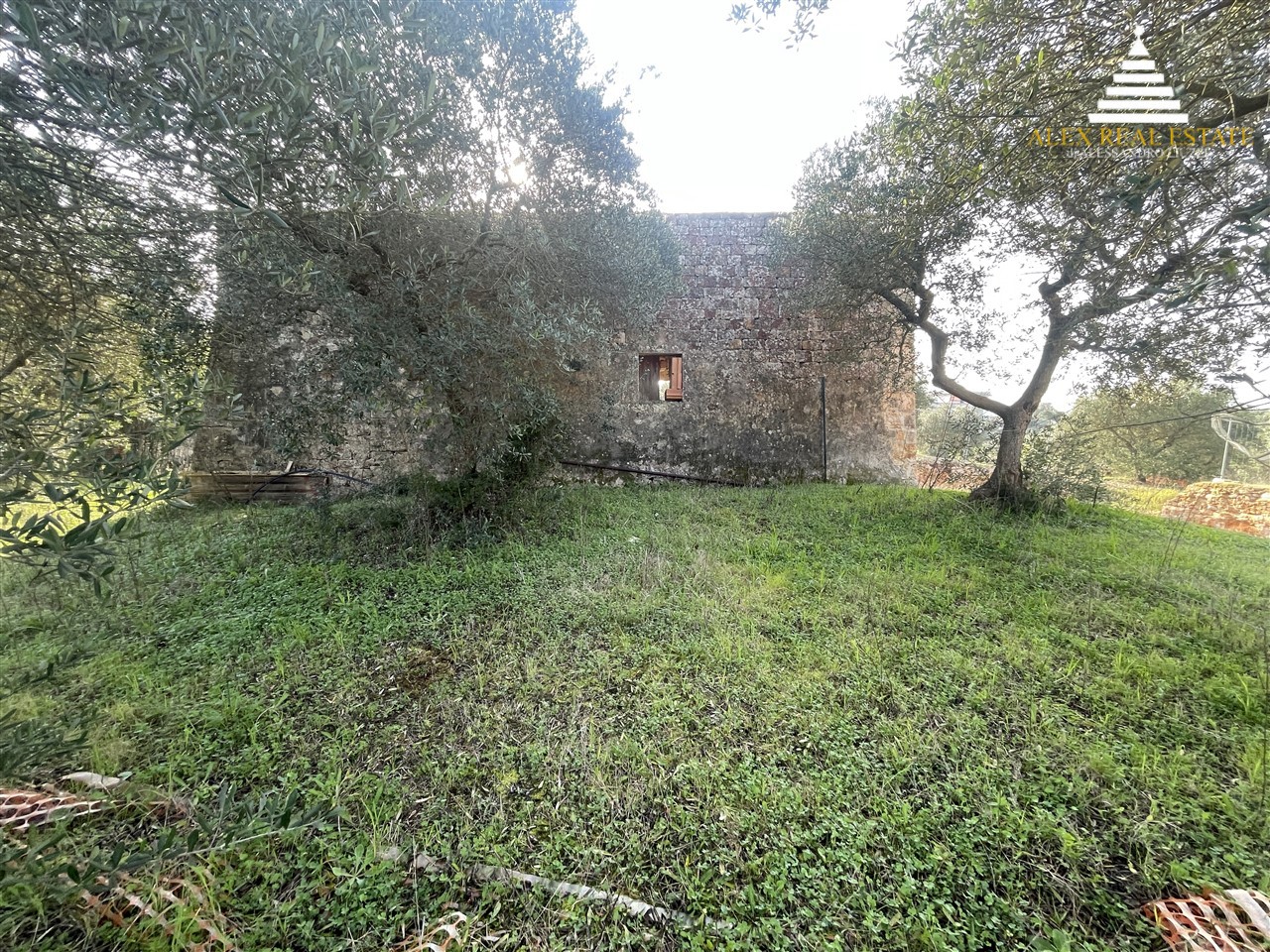 08