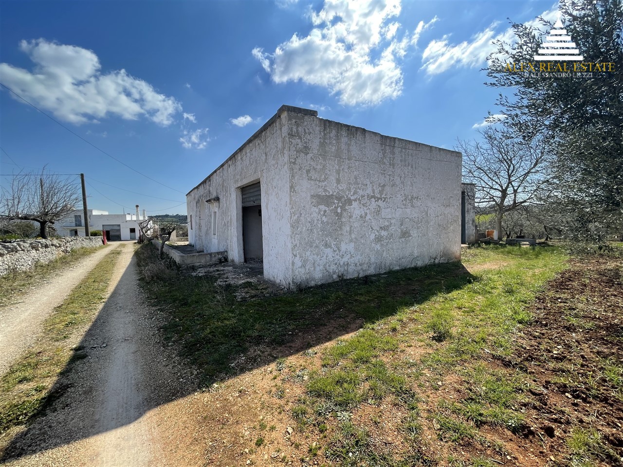 medie_00009
