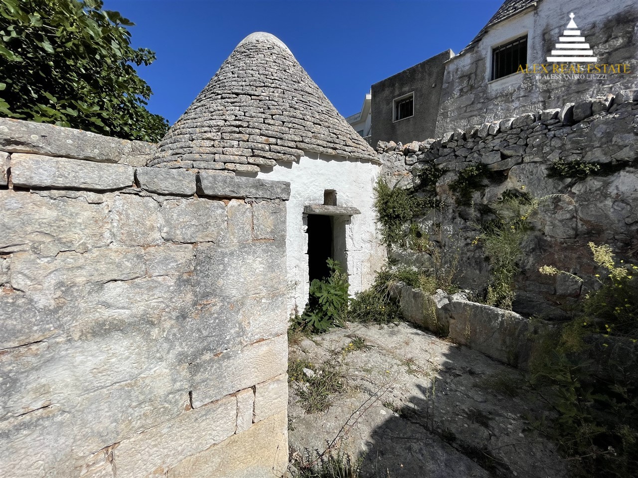 medie_00011