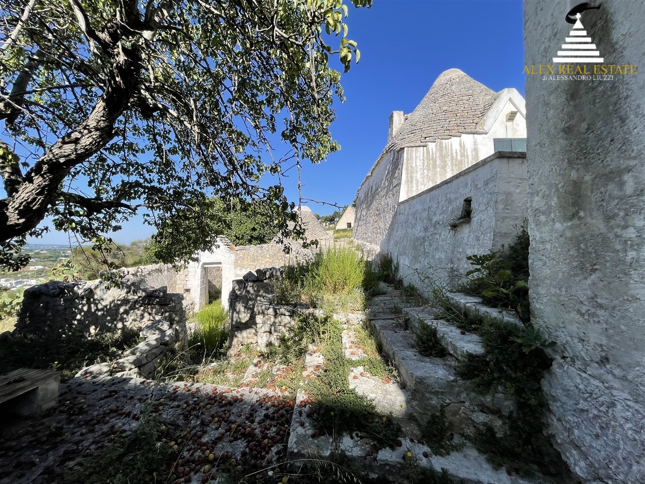 medie_00012