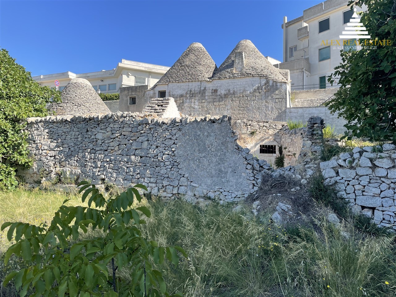 medie_00014
