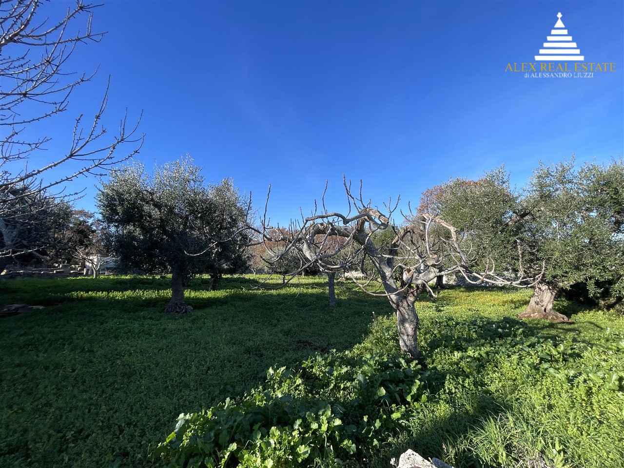 per gateaway_00035