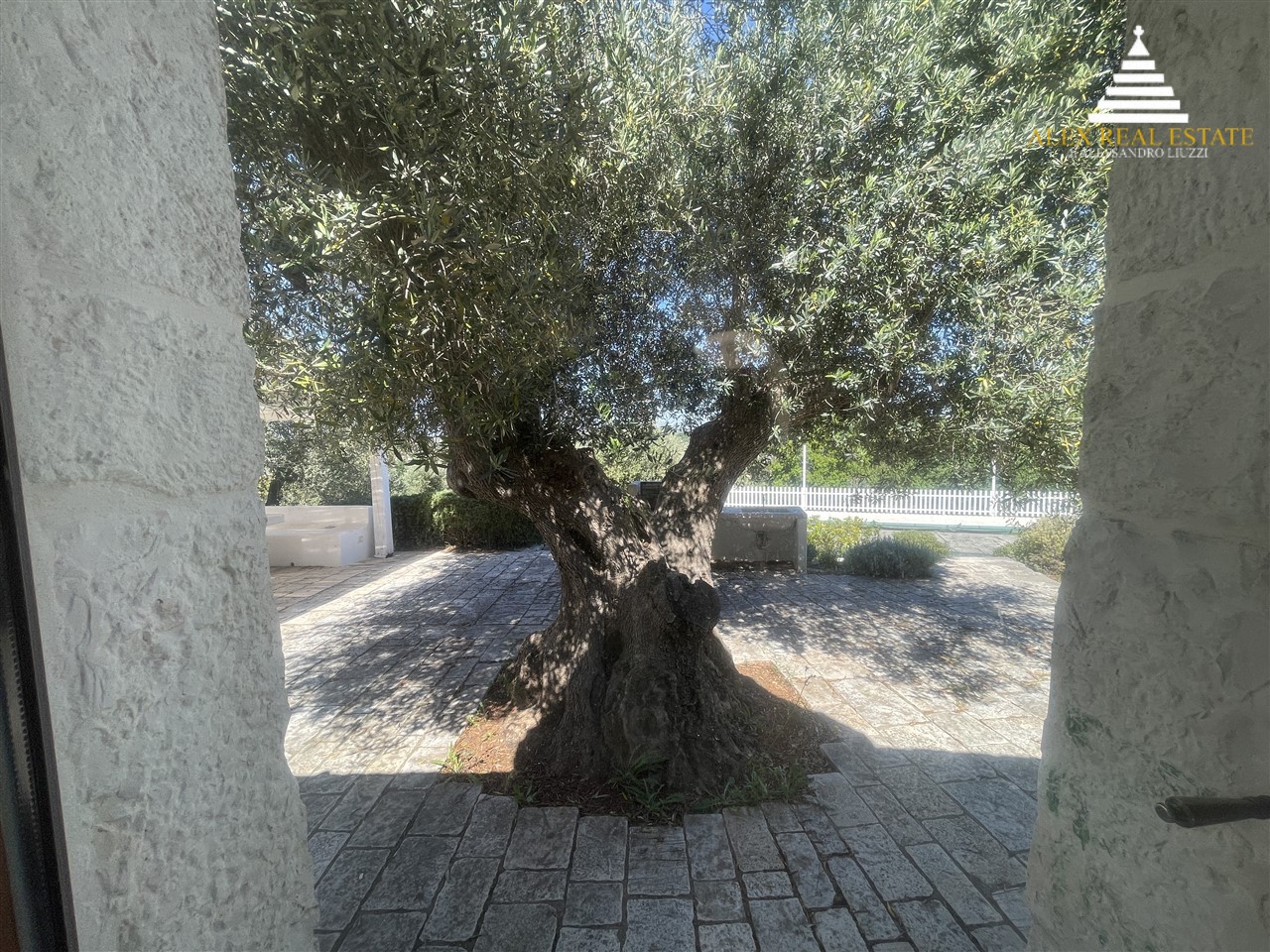 per il sito_00039