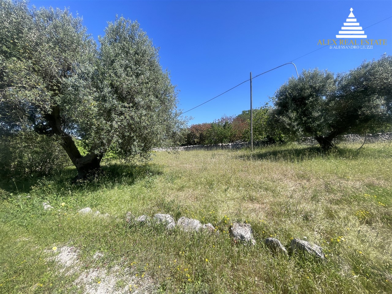 per il sito_00114