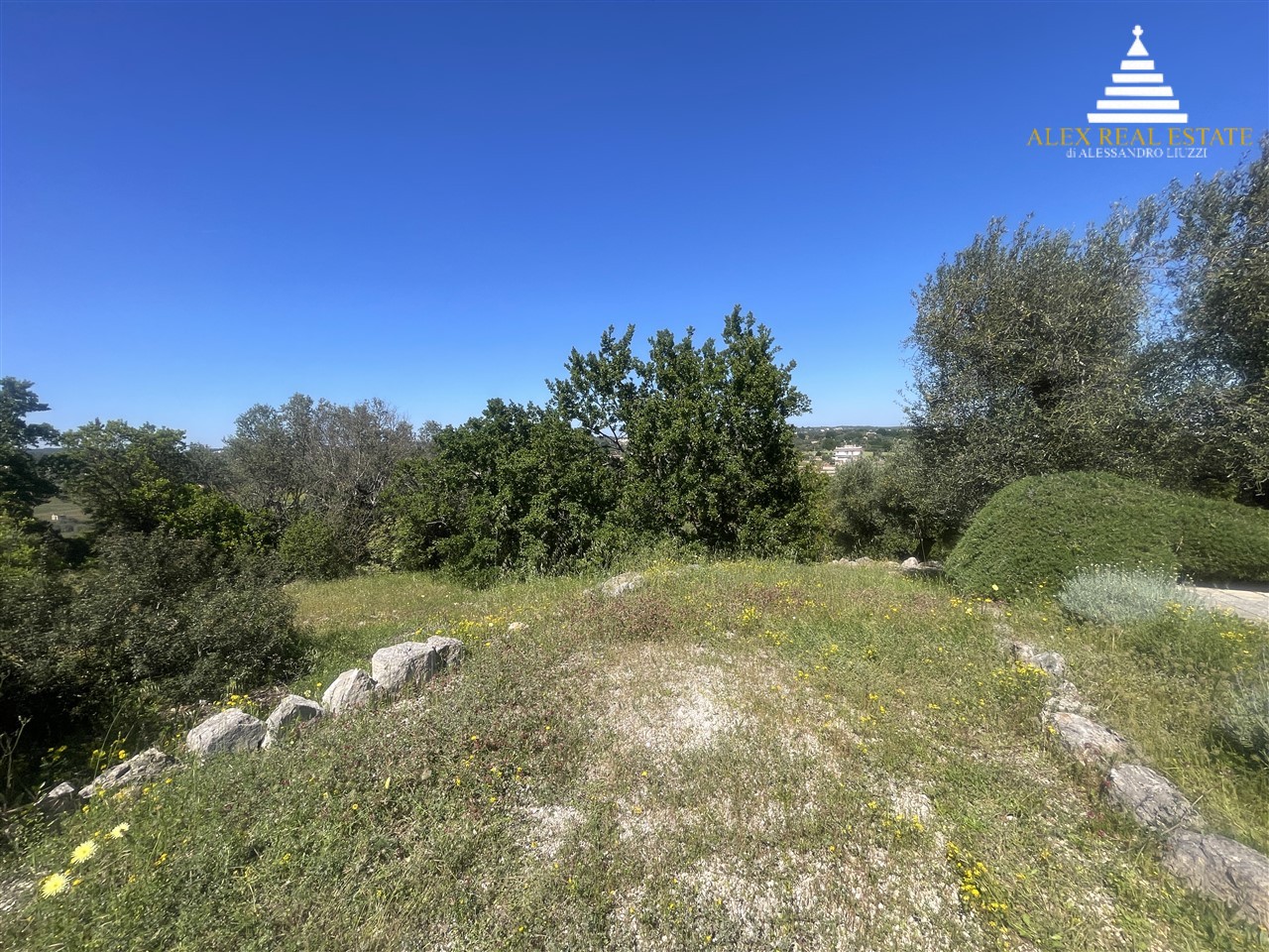 per il sito_00117