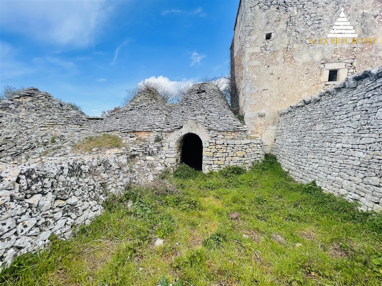 medie_00012