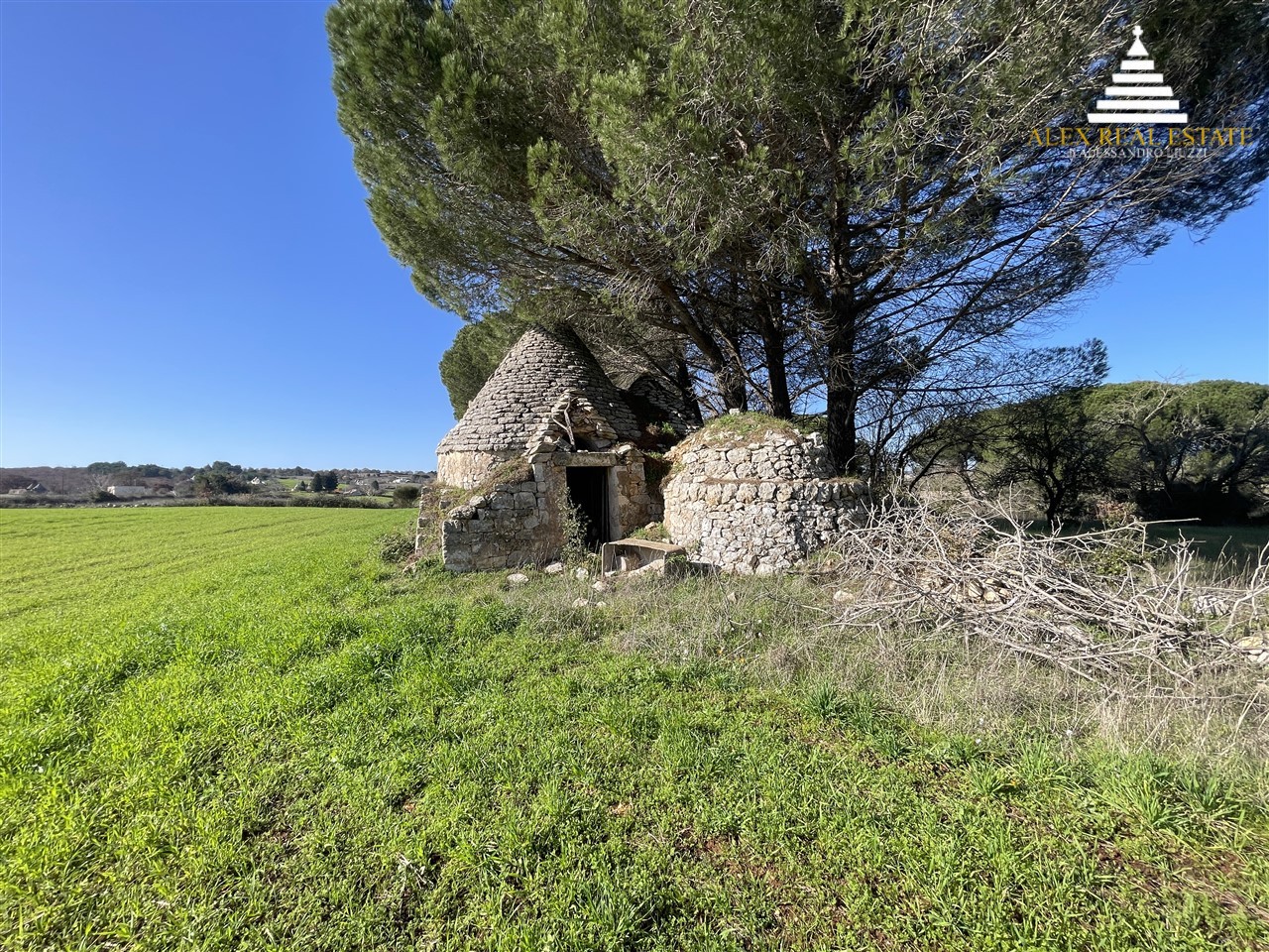 medie_00015