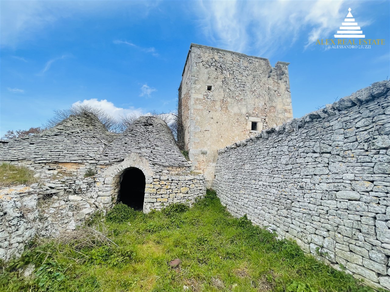 medie_00049