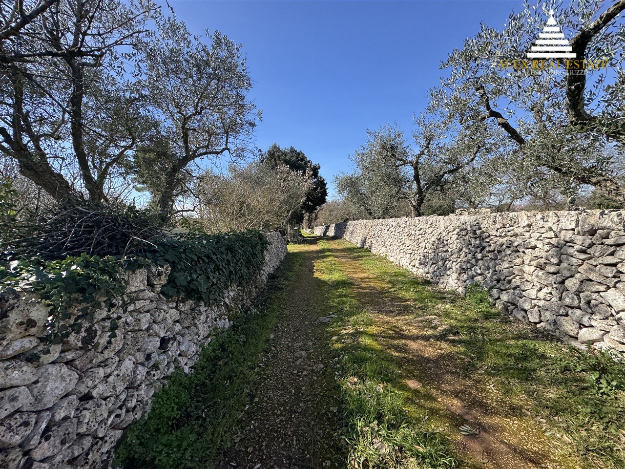 medie_00019