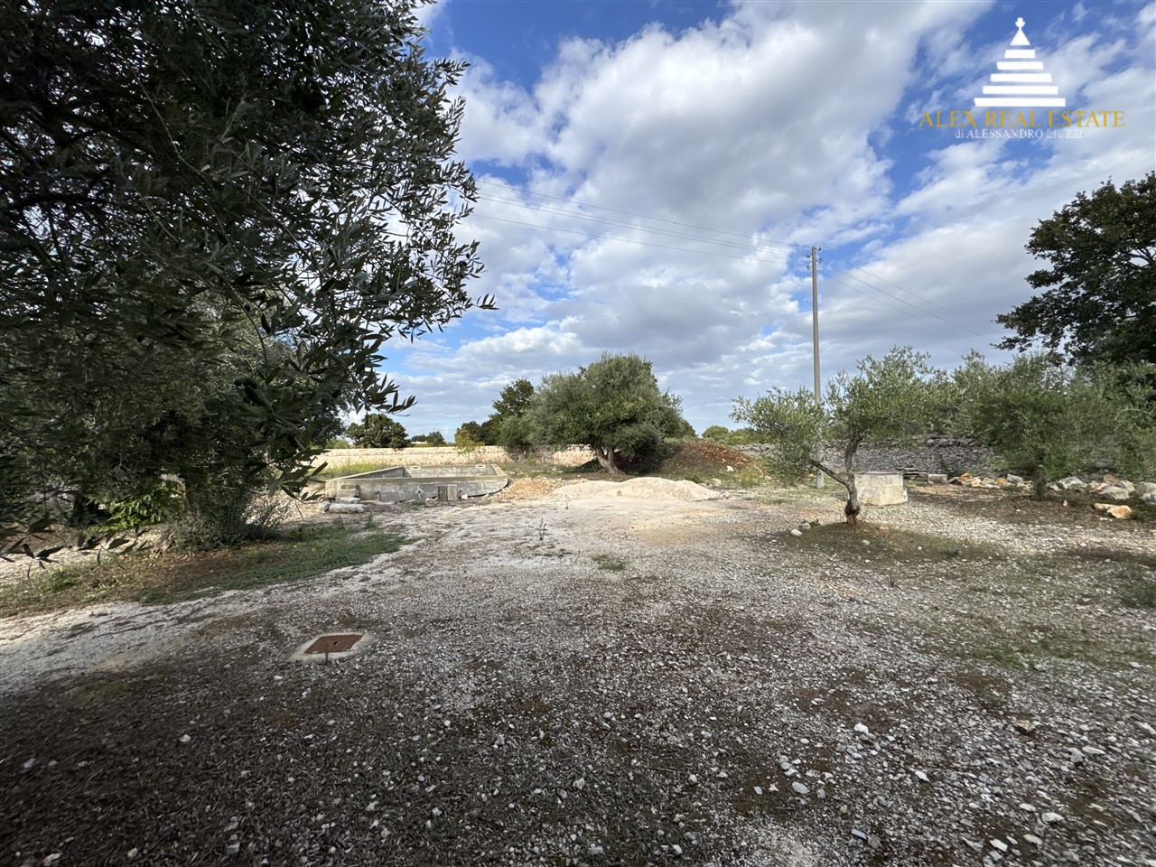 MEDIE_00087